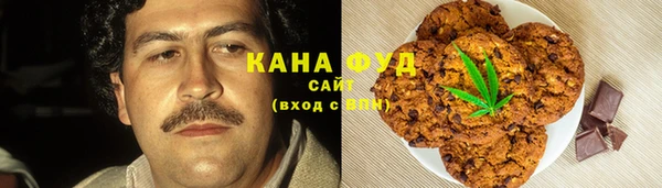 PSILOCYBIN Горняк