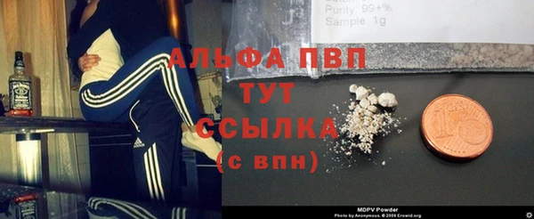 стаф Горнозаводск