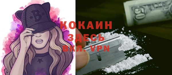 стаф Горнозаводск