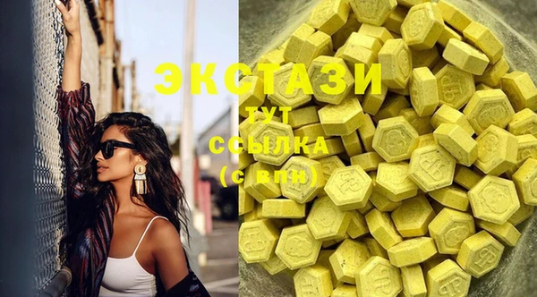 PSILOCYBIN Горняк