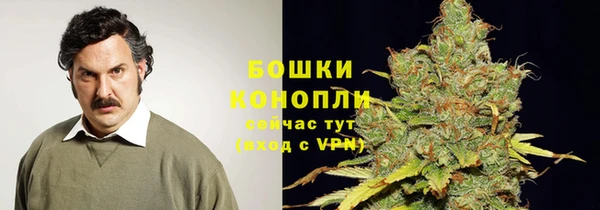 мяу мяу мука Горно-Алтайск
