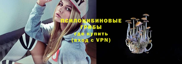 мяу мяу мука Горно-Алтайск