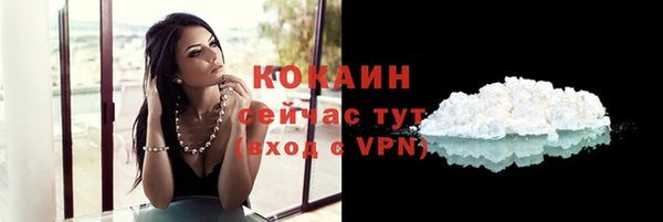 стаф Горнозаводск