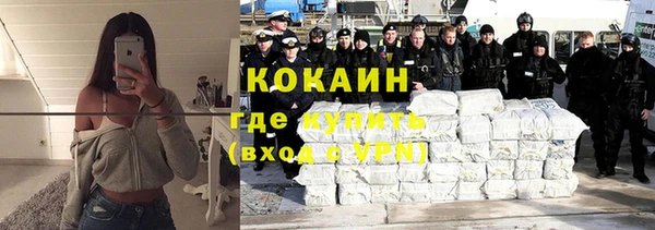 мяу мяу мука Горно-Алтайск