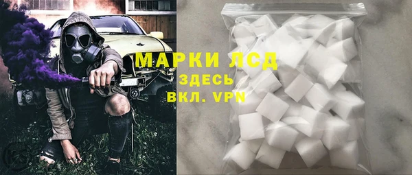PSILOCYBIN Горняк
