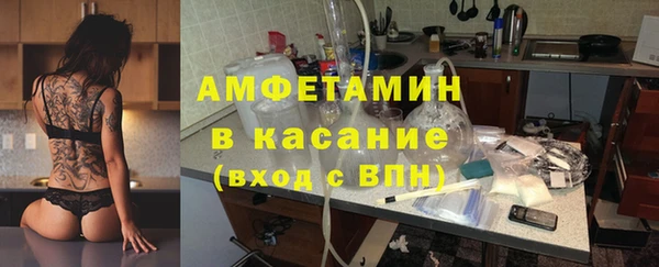 PSILOCYBIN Горняк