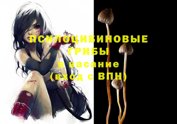 стаф Горнозаводск